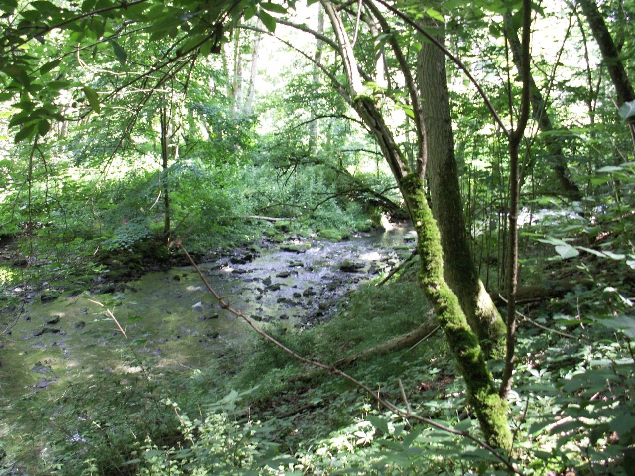 2016 Rothenburg 2TT-09