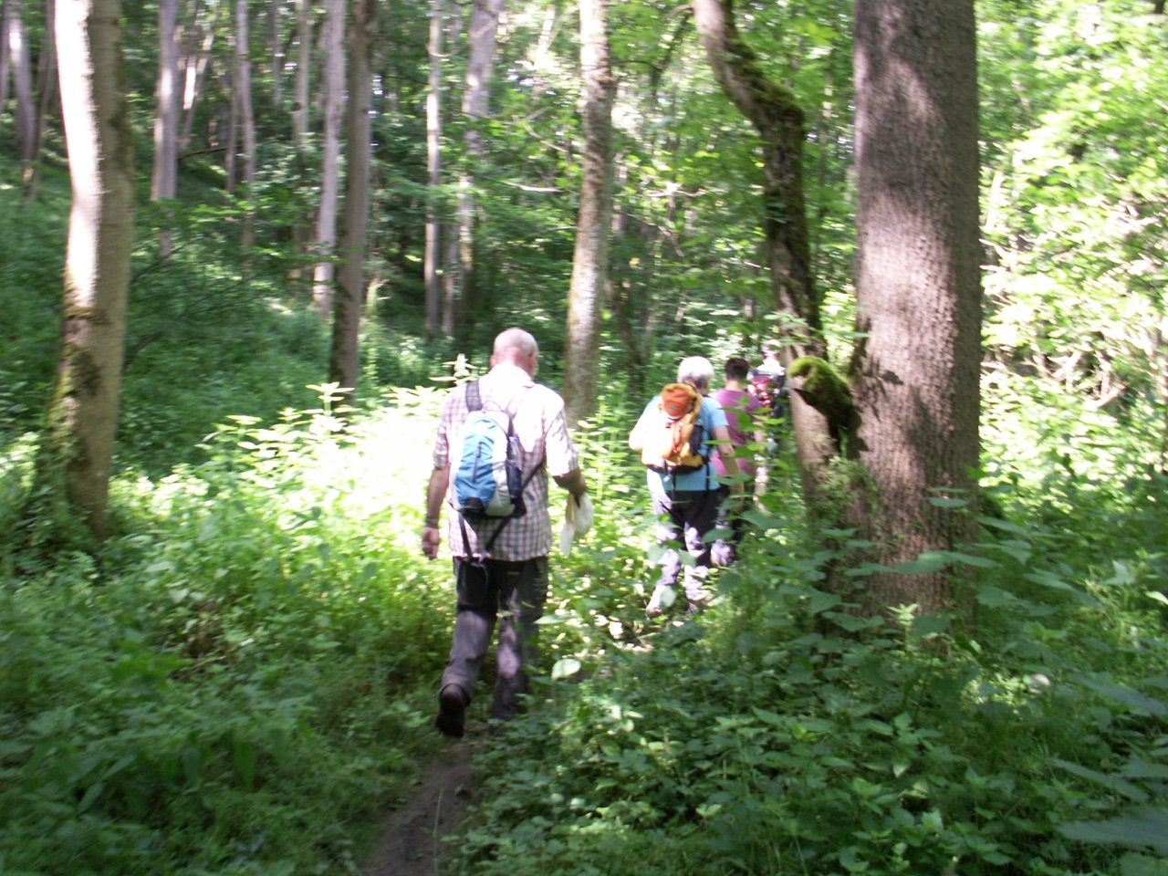 2016 Rothenburg 2TT-10