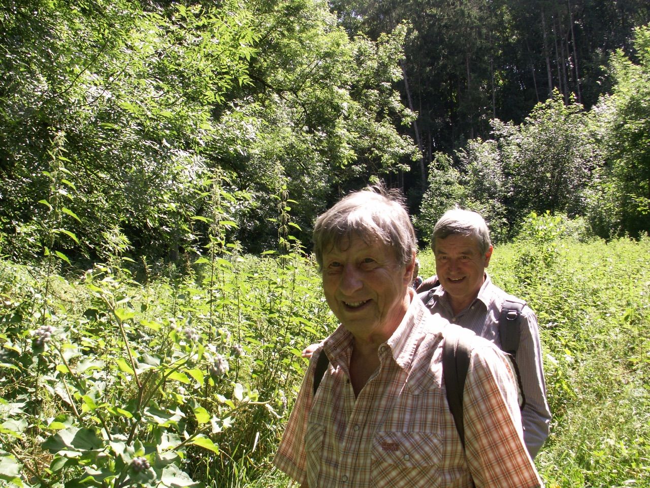 2016 Rothenburg 2TT-11