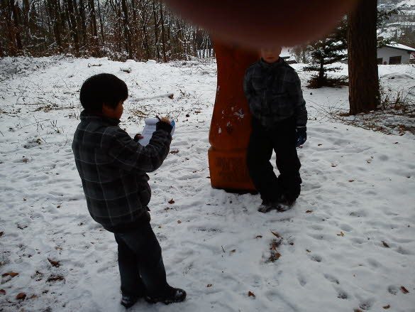 2010 Hoechst Wintercache Gc