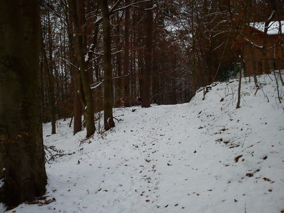 2010 Hoechst Wintercache Gc