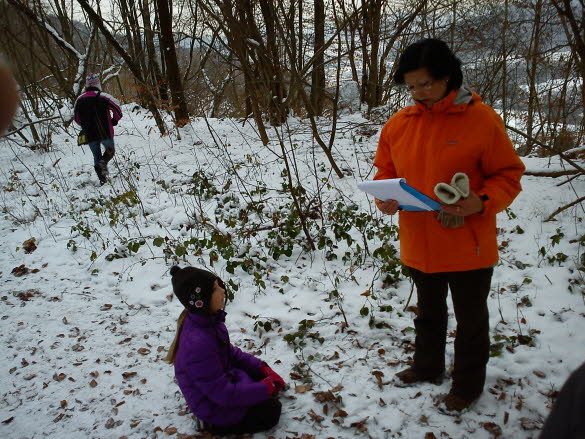 2010 Hoechst Wintercache Gc