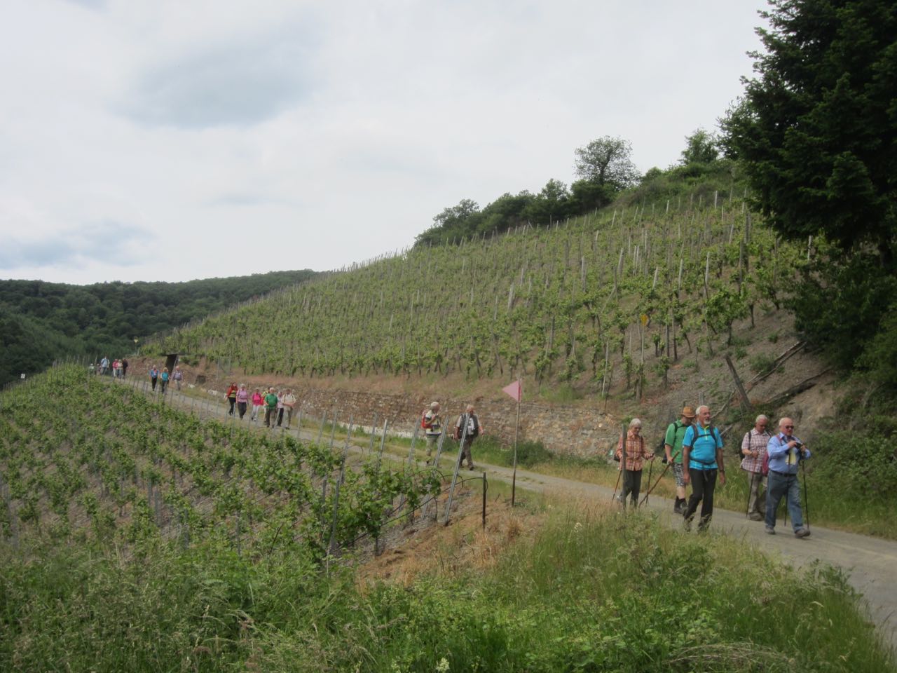 Boppard 2015 2t