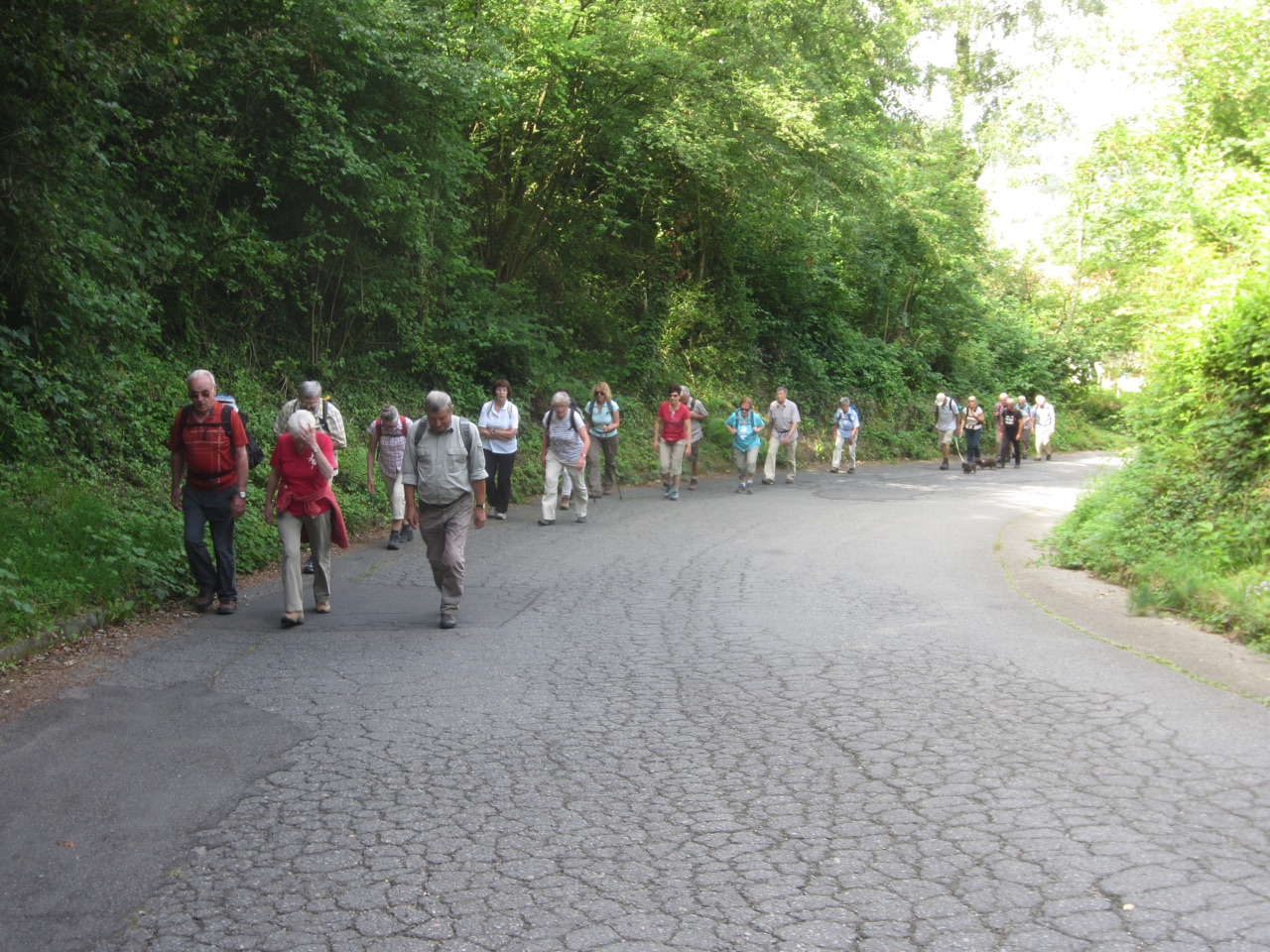 Burgensteig 2016