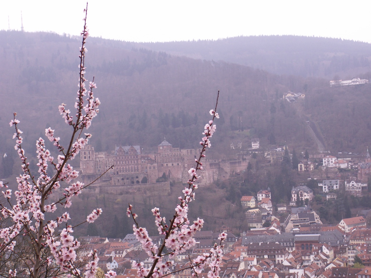 Burgensteig 2016