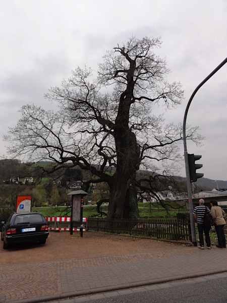 Lahn 2014 2t