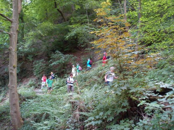 Mosel 2011