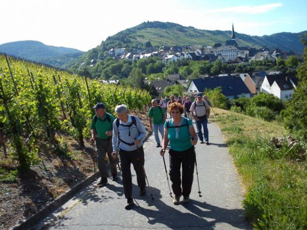 Mosel 2011