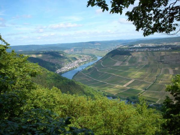 Mosel 2011