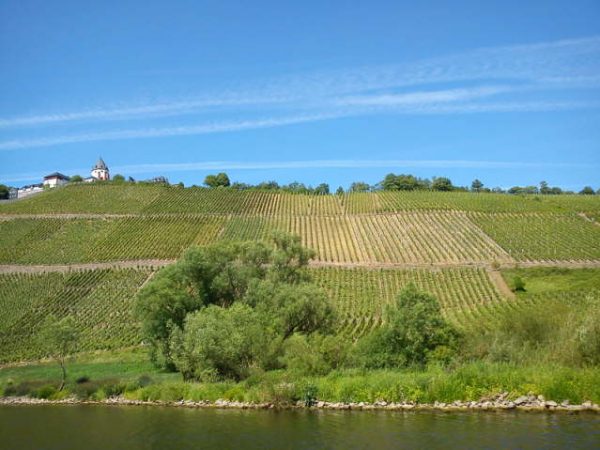 Mosel 2011