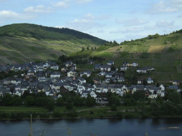 Mosel 2011