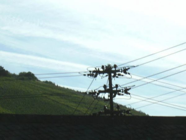 Mosel 2011