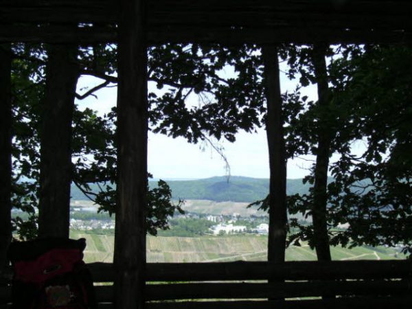 Mosel 2011