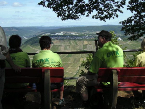 Mosel 2011