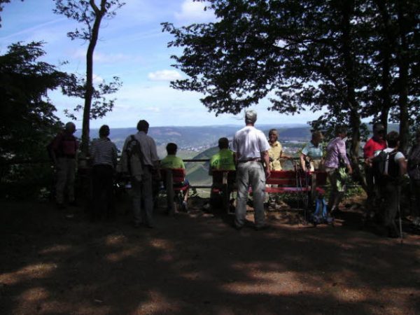 Mosel 2011