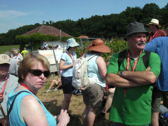 Weinlagenwanderung Gross Umstadt 2011