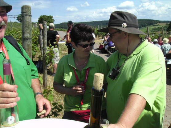 Weinlagenwanderung Gross Umstadt 2011